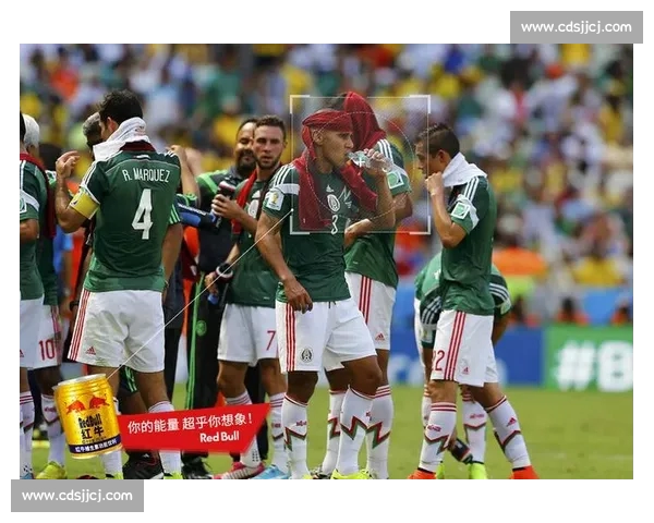 世界杯APP最新赛事资讯实时推送与精彩回放全覆盖指南